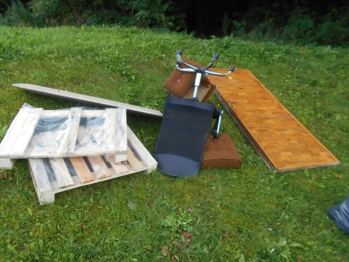 Zdjęcie