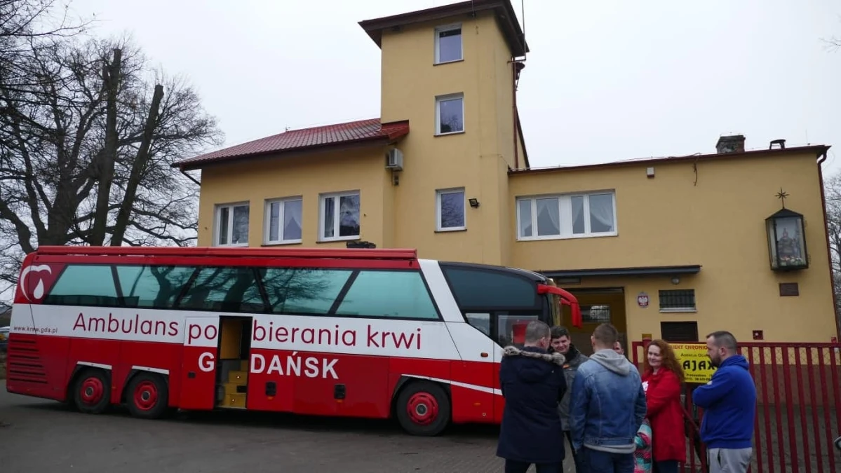 Zdjęcie