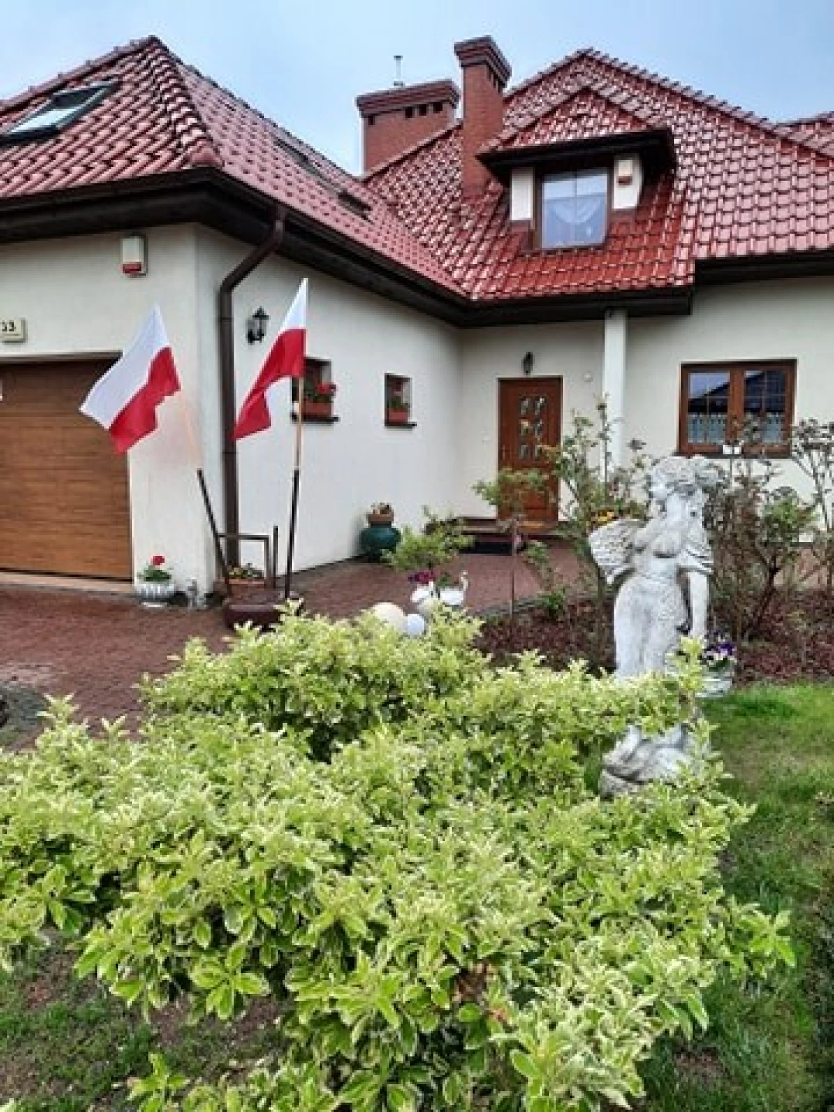 Zdjęcie