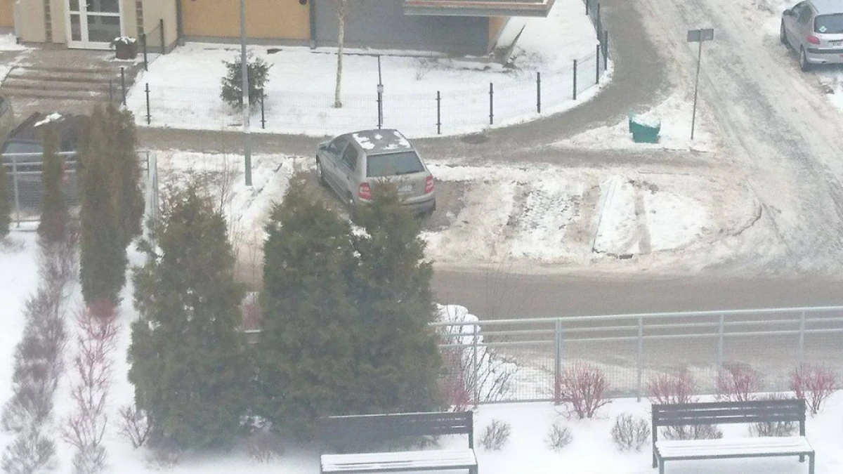 Zdjęcie