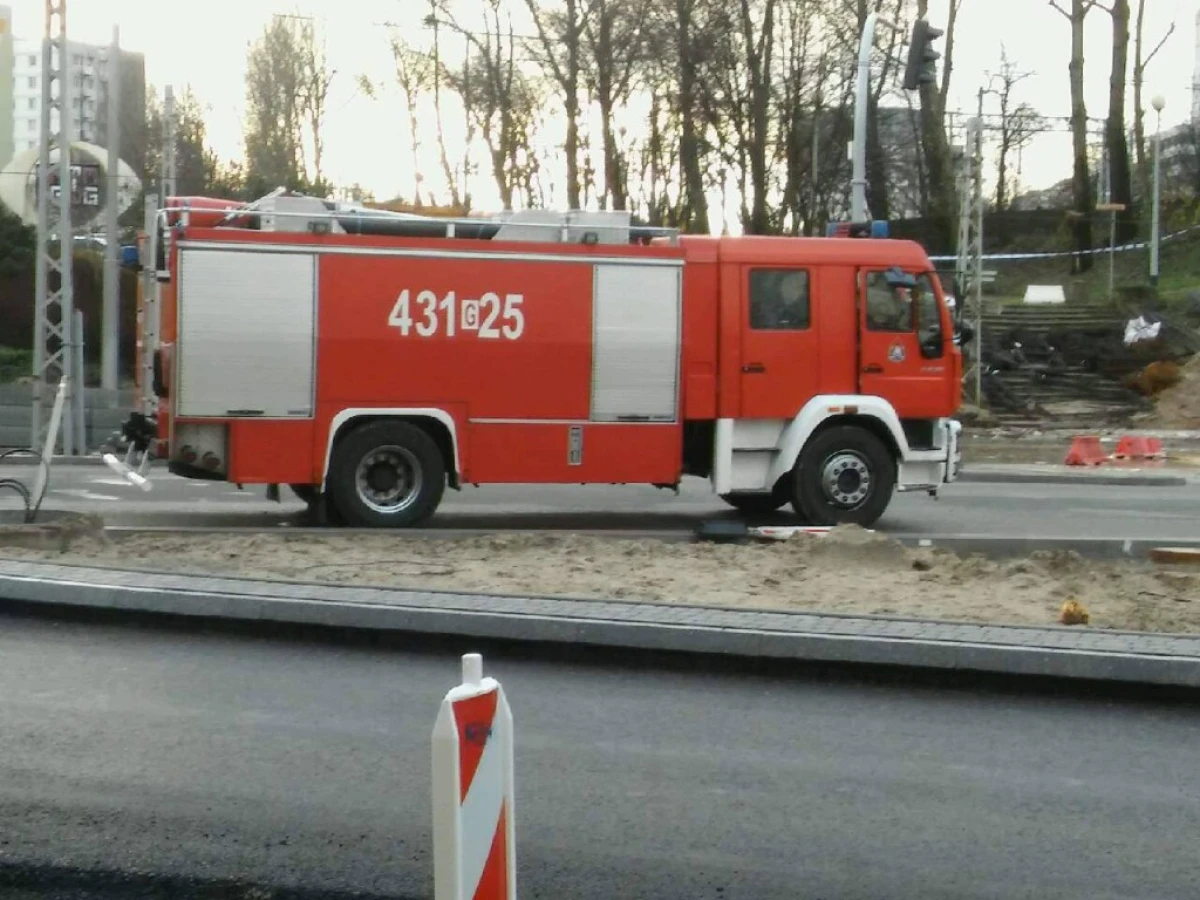 Zdjęcie