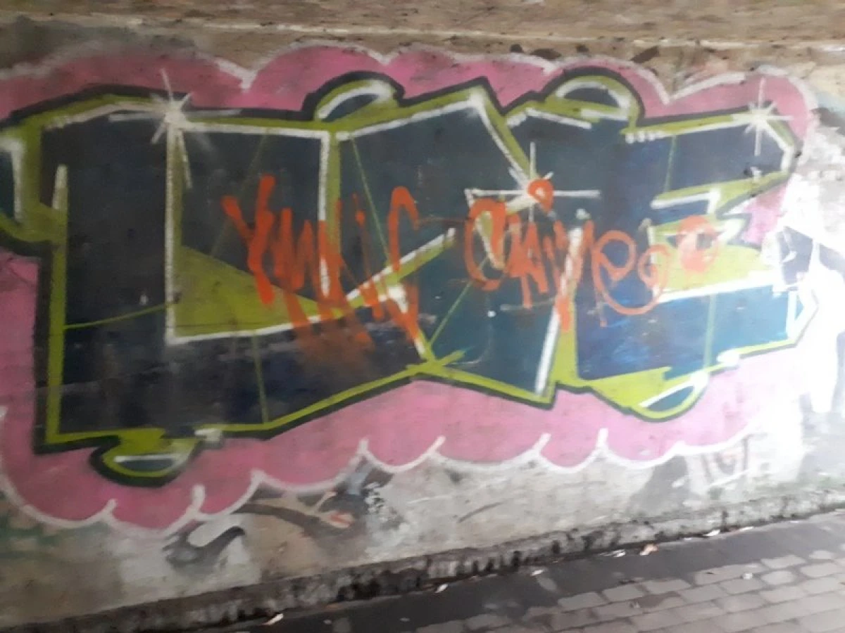 Zdjęcie