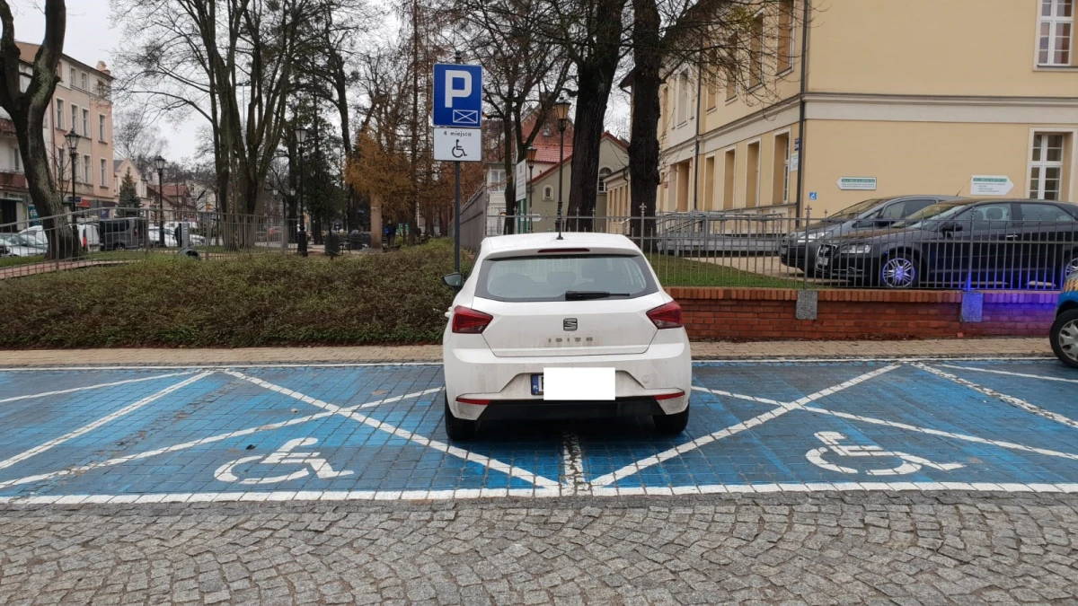 Zdjęcie