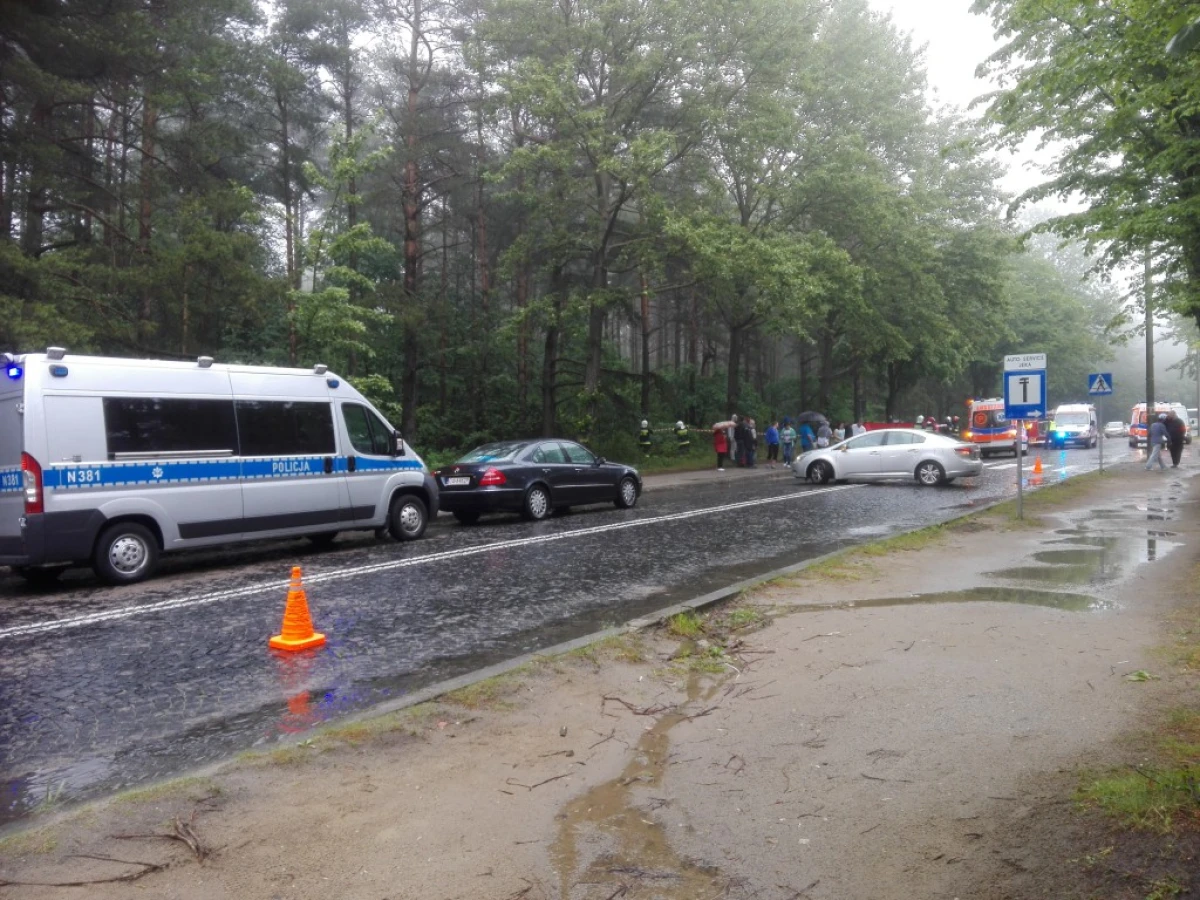 Zdjęcie