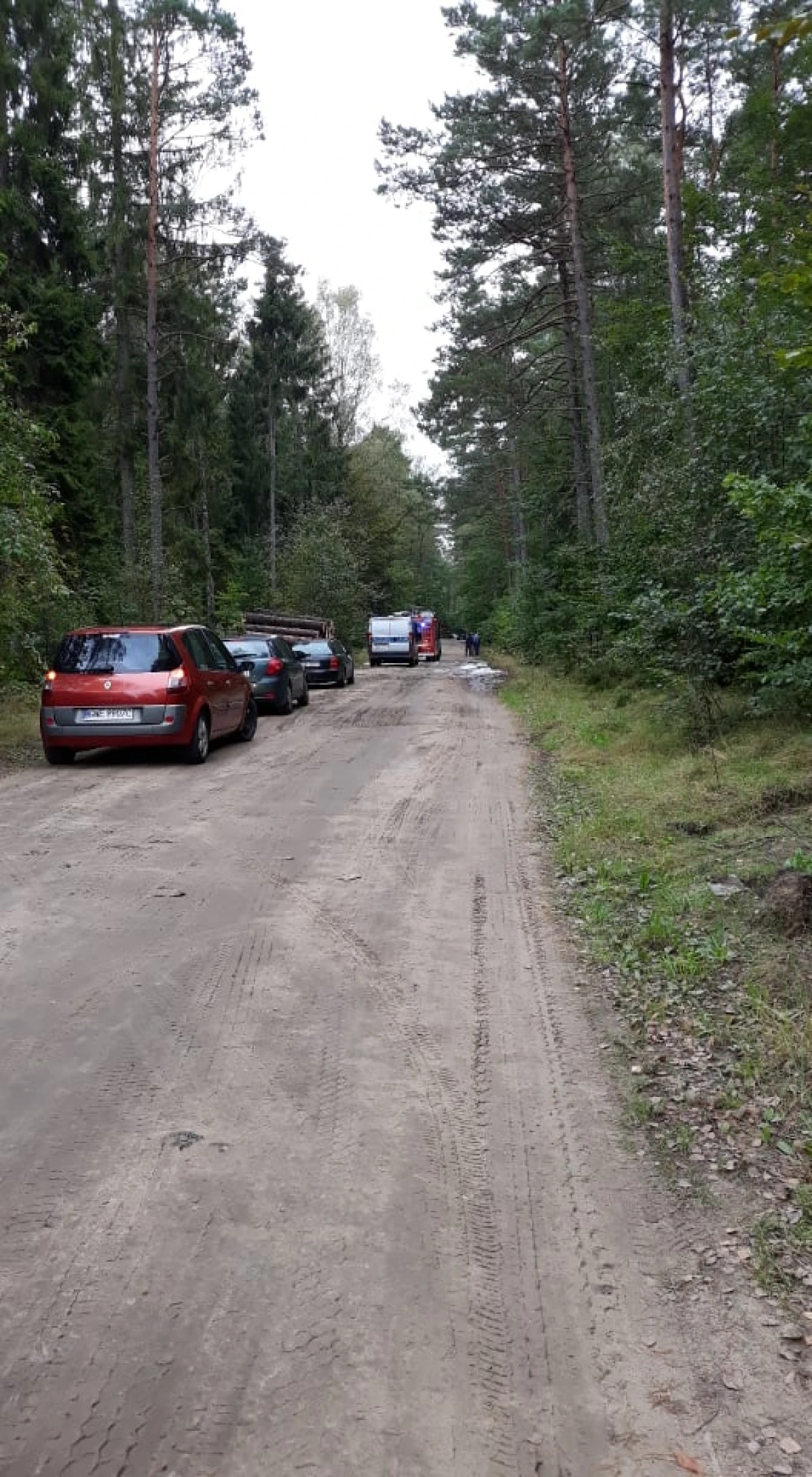 Zdjęcie