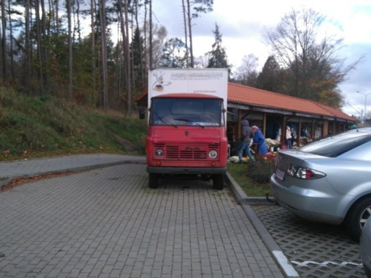 Zdjęcie