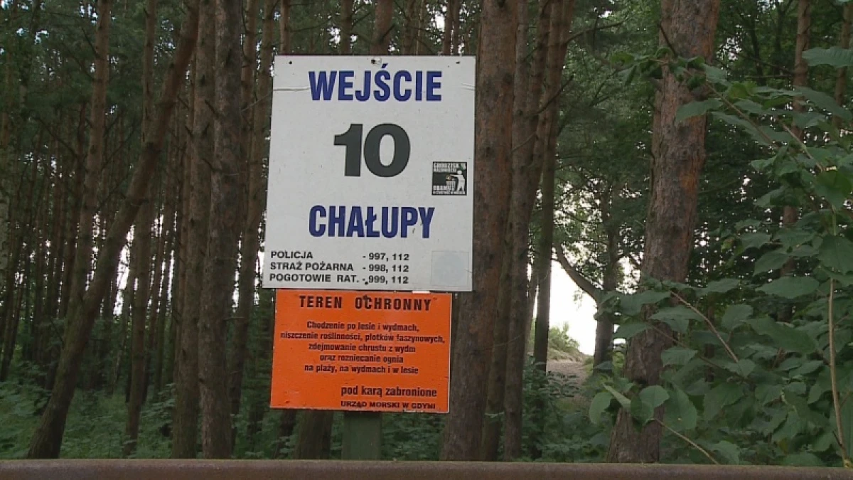 Zdjęcie
