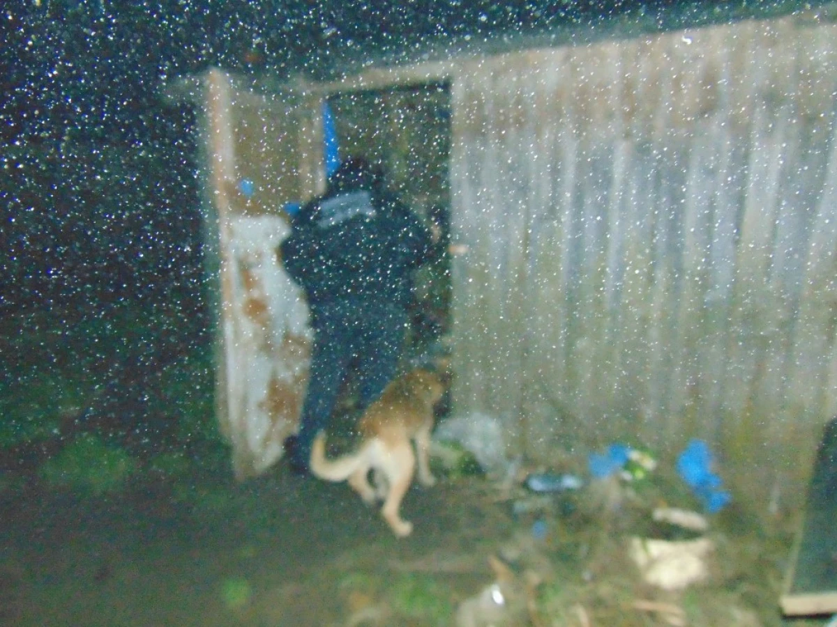 Zdjęcie