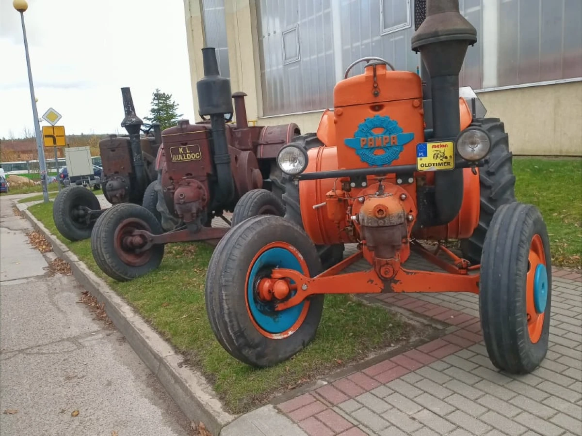 Zdjęcie