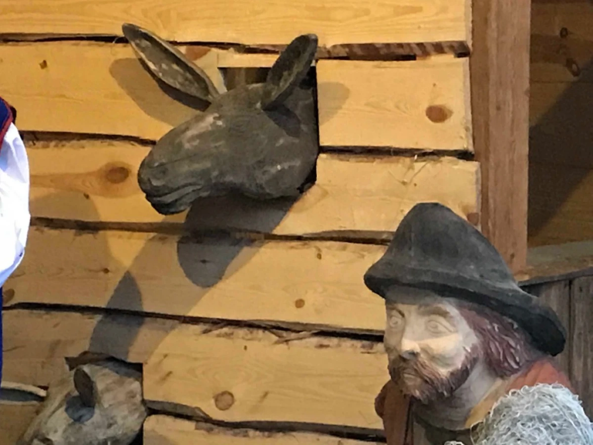 Zdjęcie