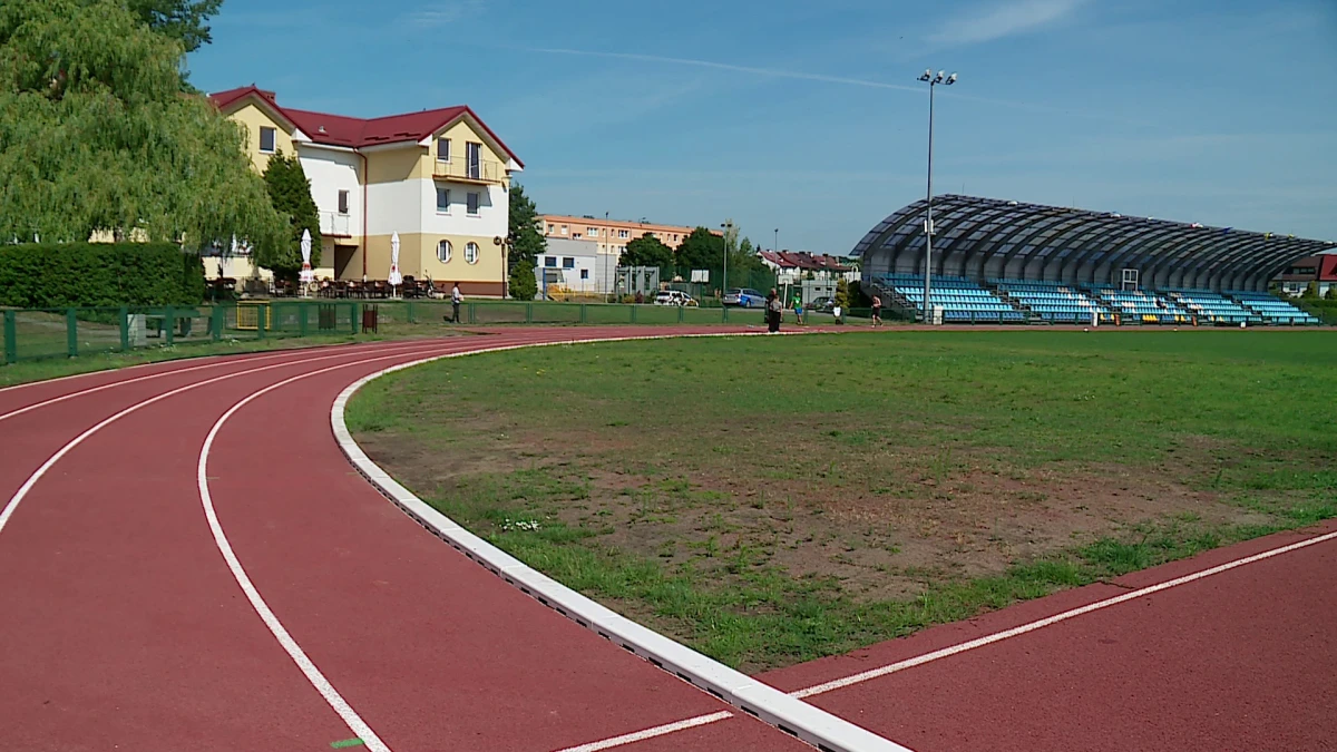 Zdjęcie