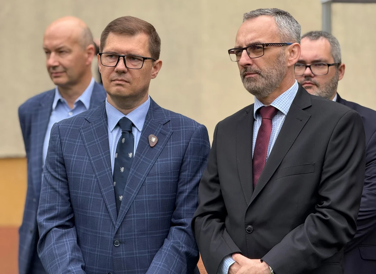 Zdjęcie