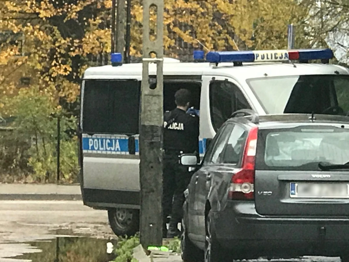 Zdjęcie