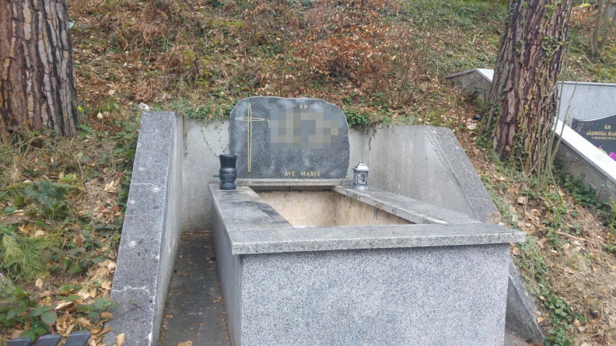 Zdjęcie