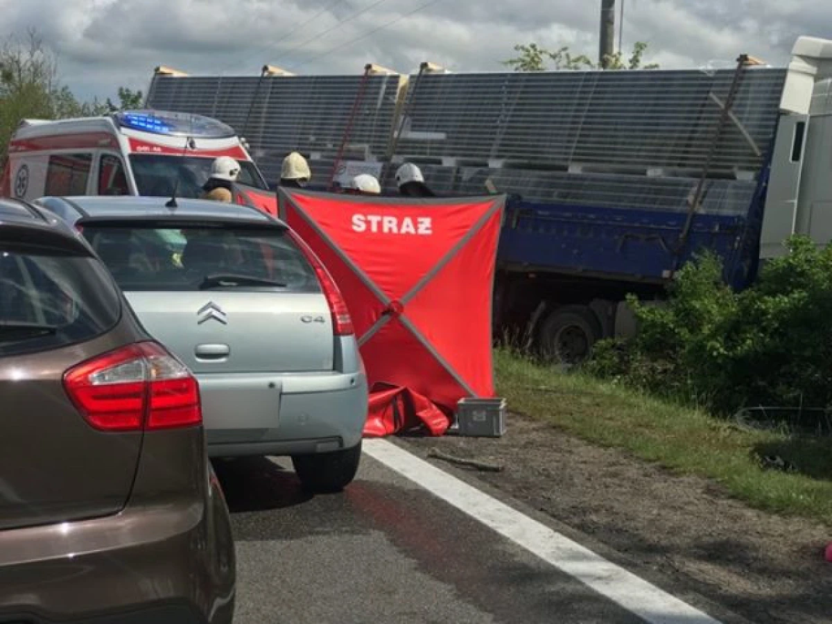 Zdjęcie