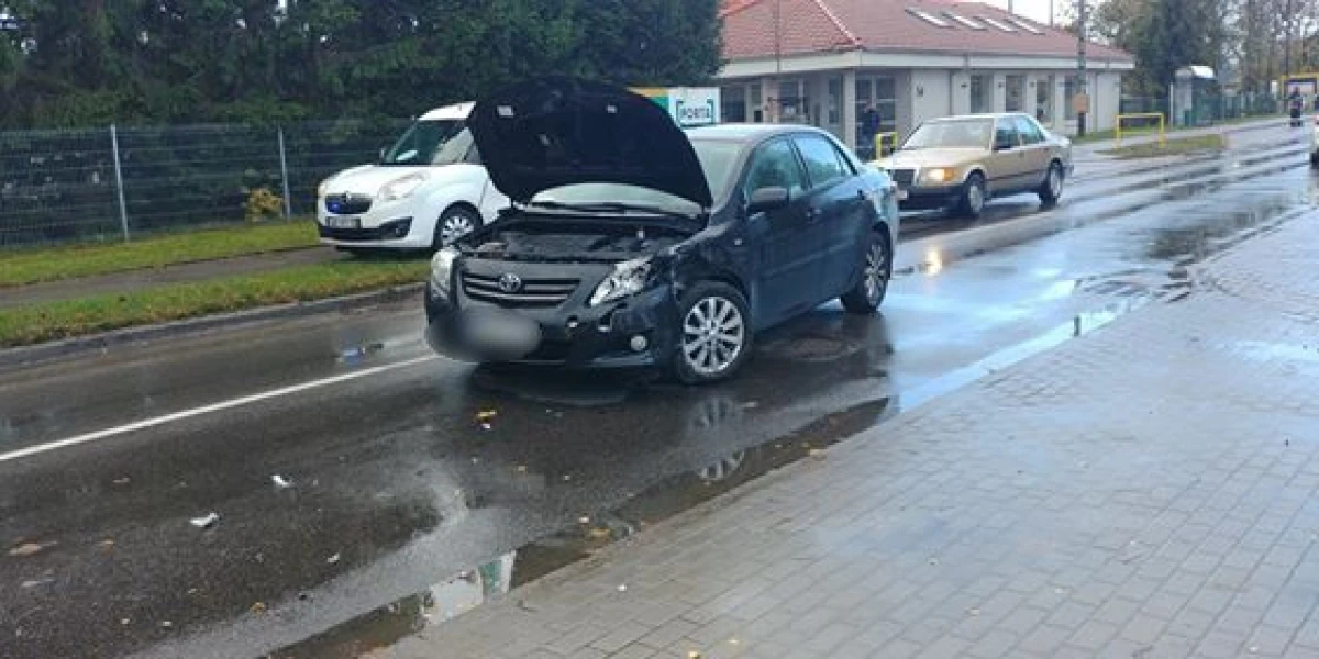 Zdjęcie
