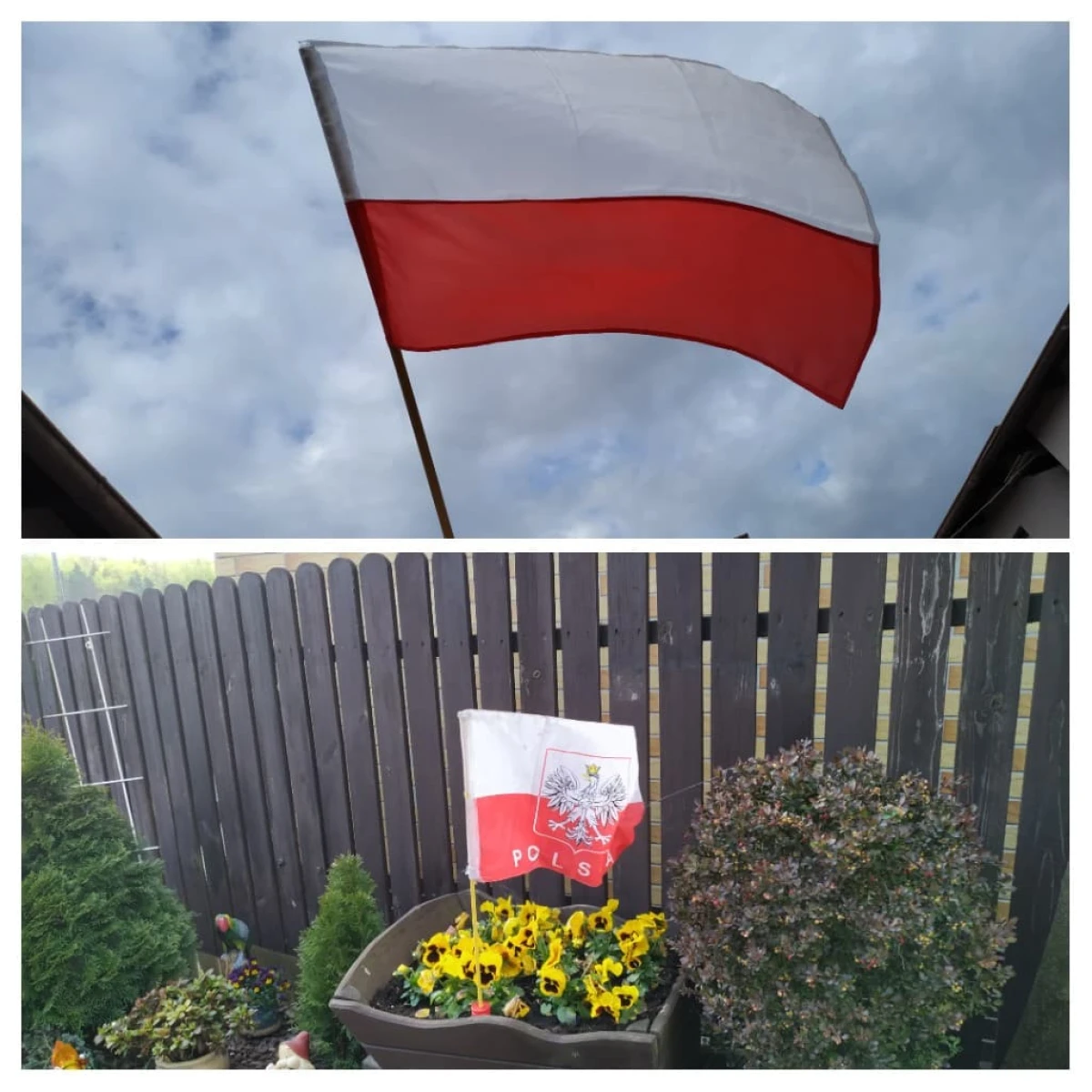 Zdjęcie