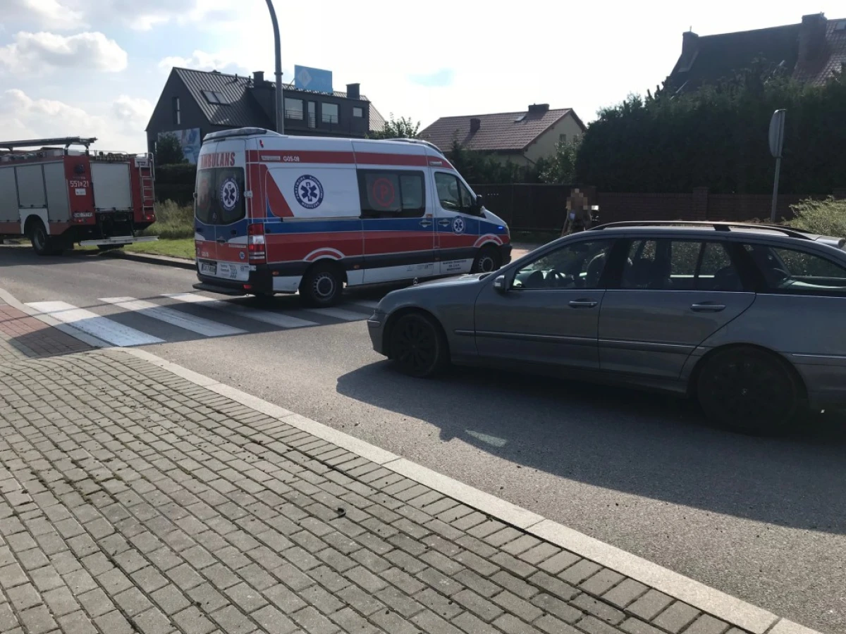 Zdjęcie