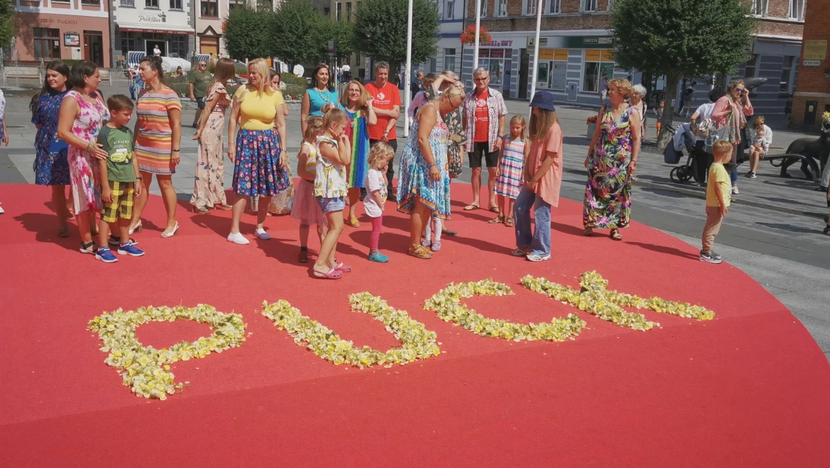 Zdjęcie