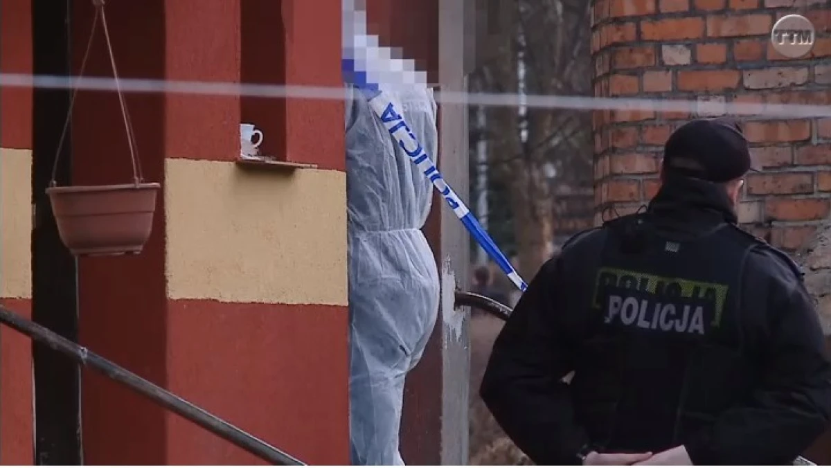 Zdjęcie
