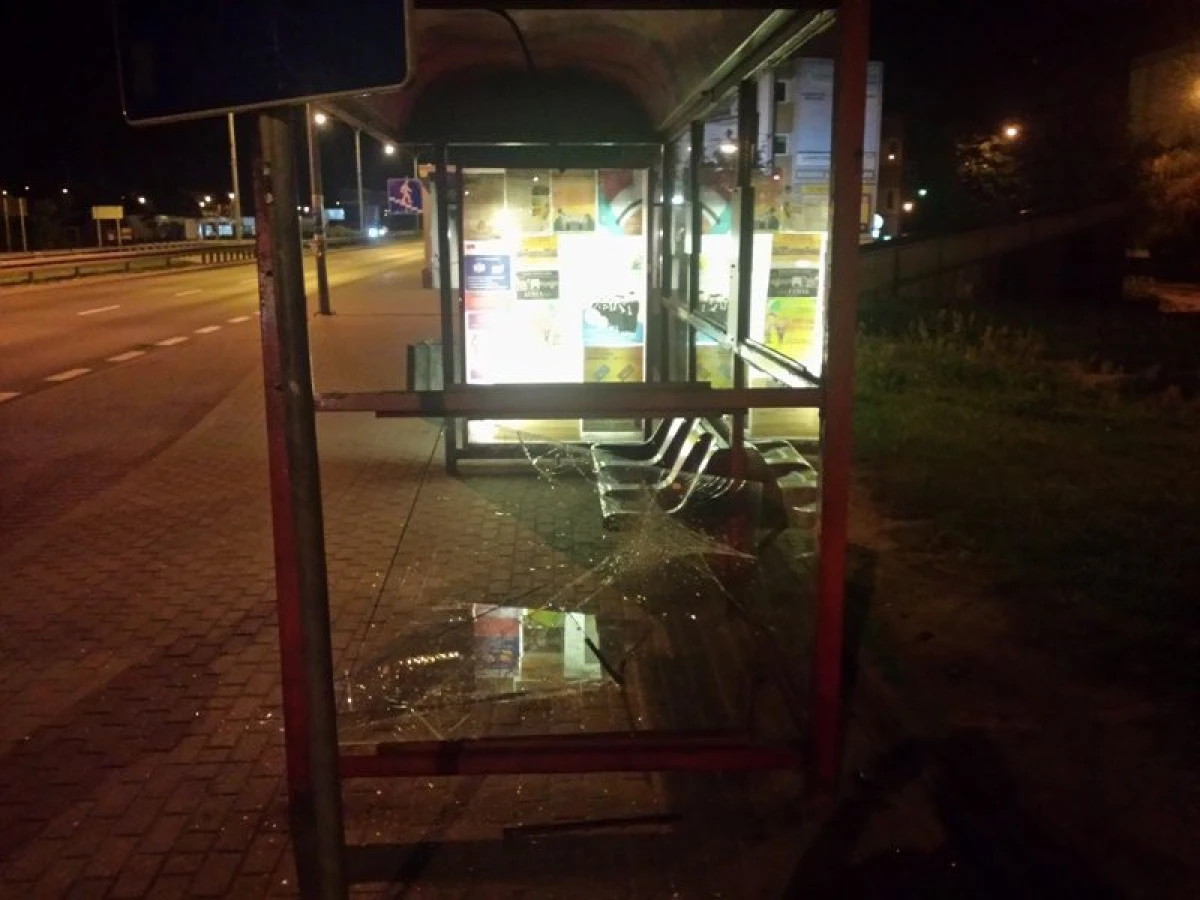 Zdjęcie