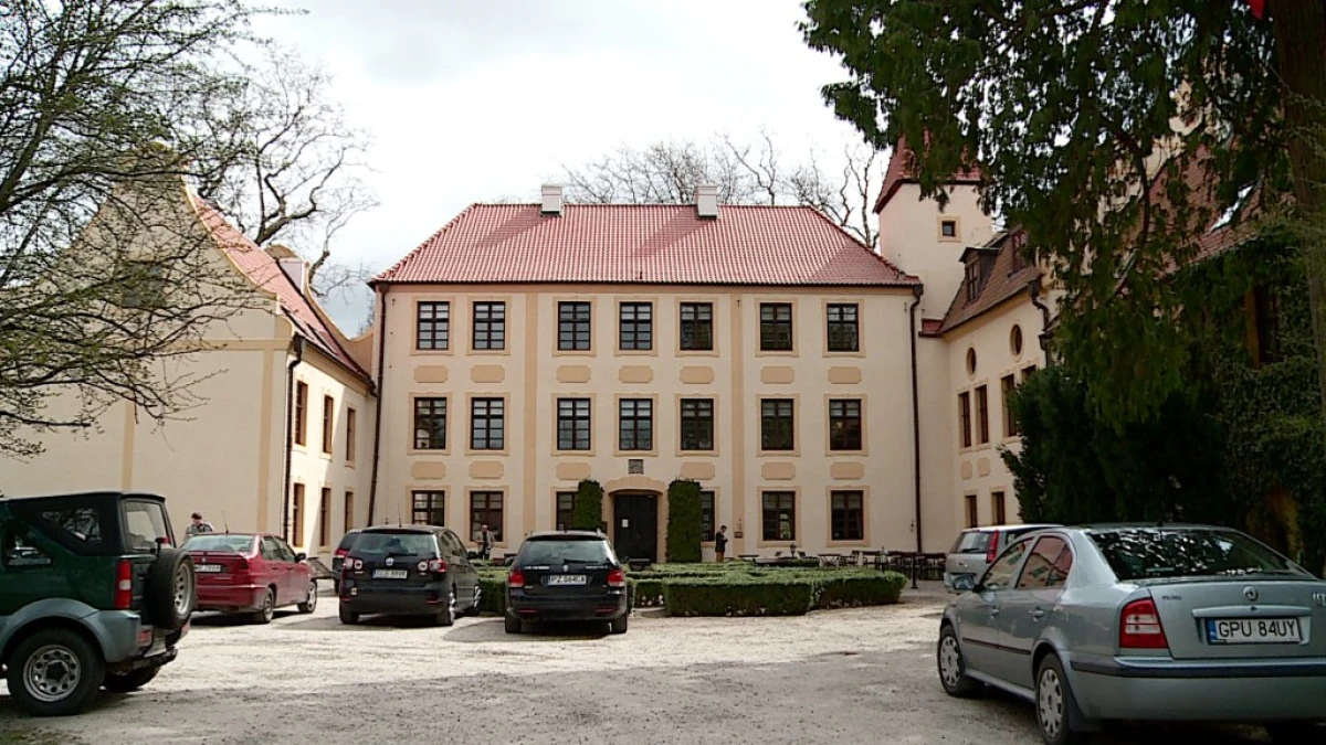 Zdjęcie