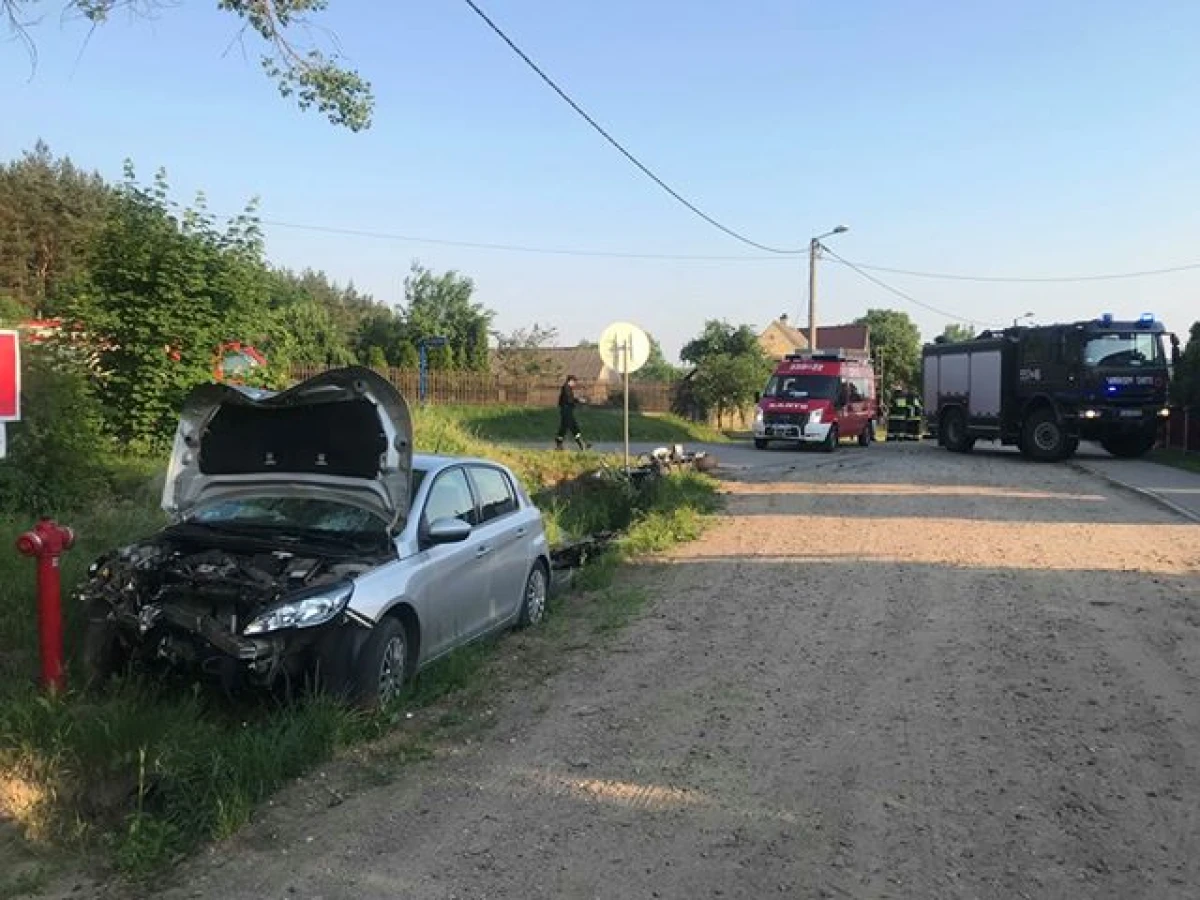 Zdjęcie
