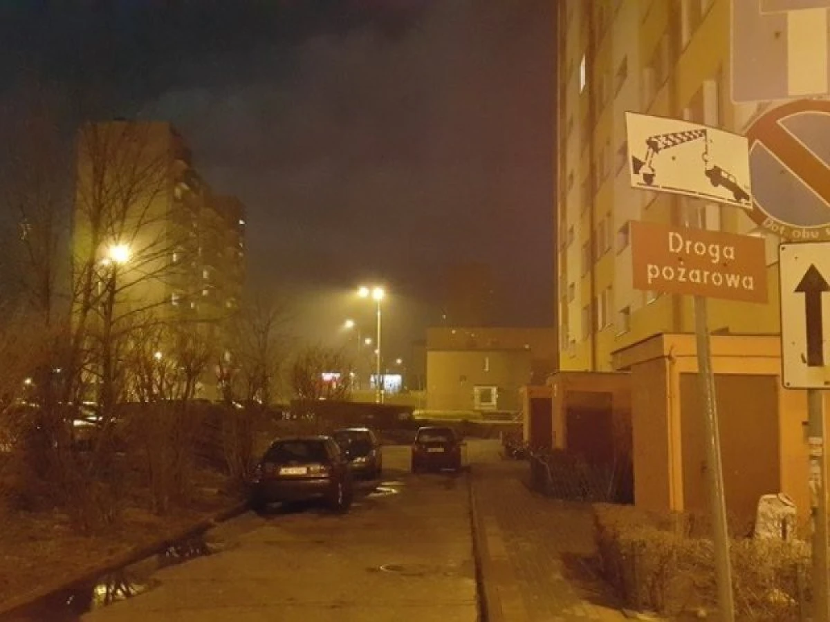 Zdjęcie