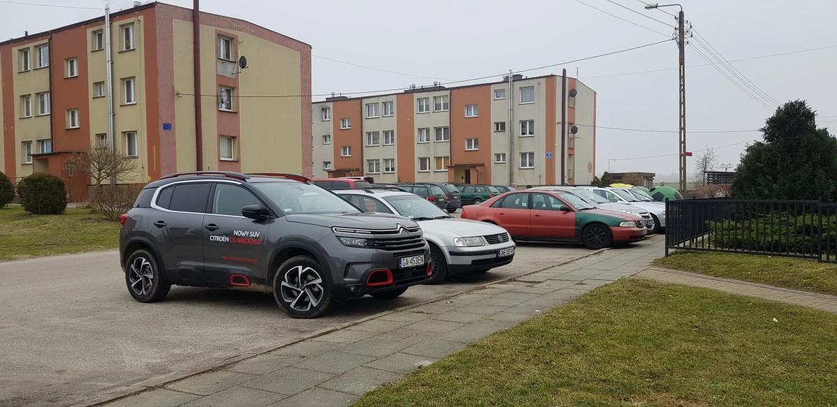 Zdjęcie