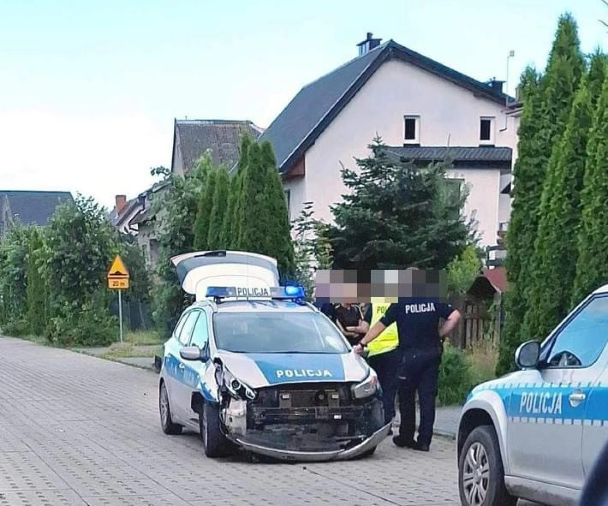 Zdjęcie