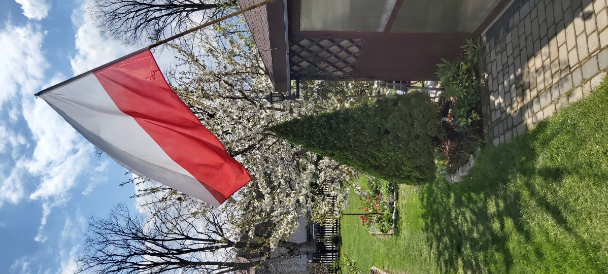 Zdjęcie
