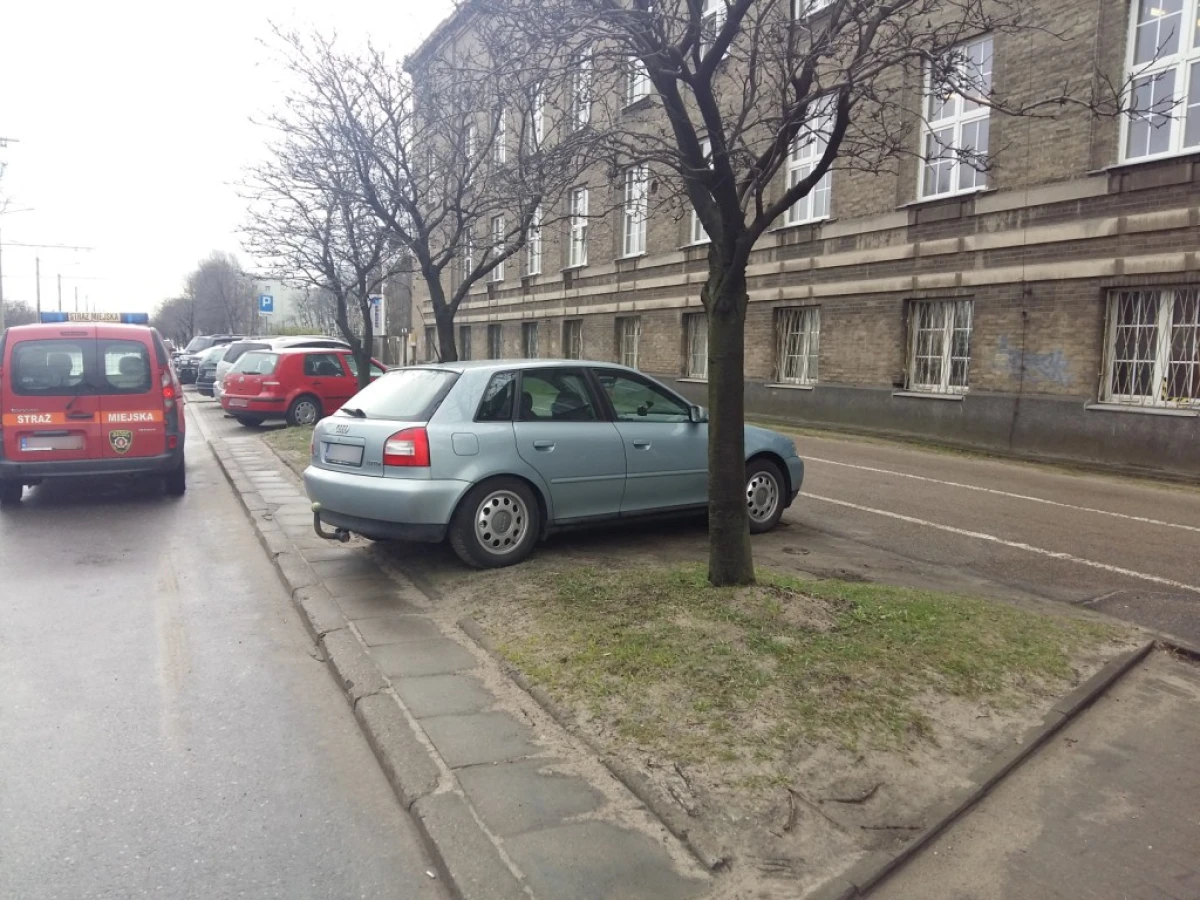 Zdjęcie