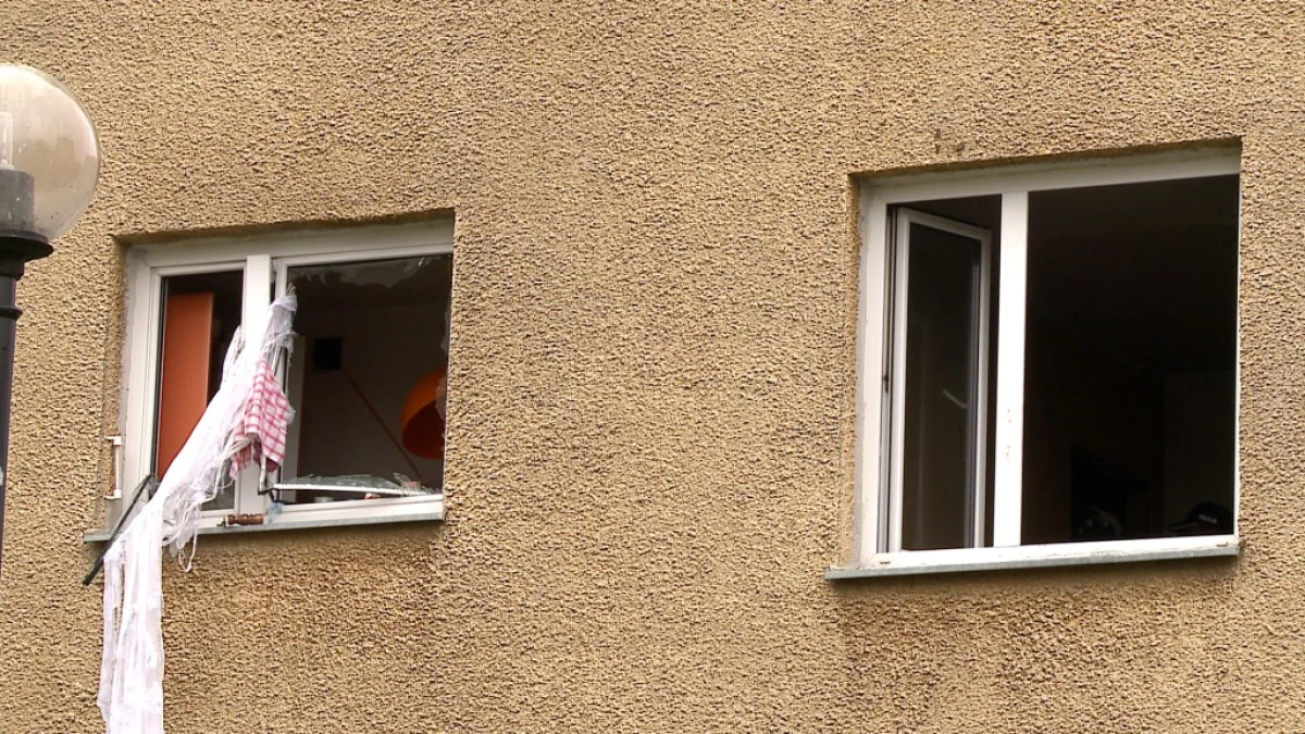 Zdjęcie
