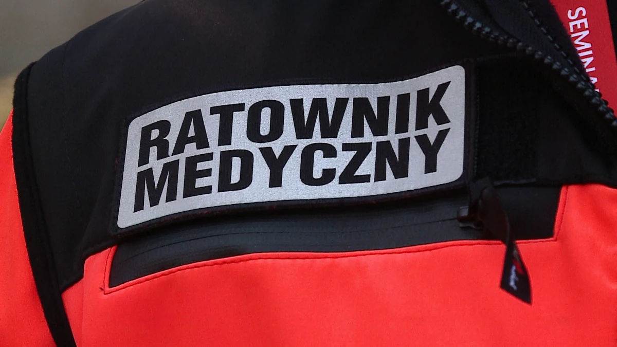 Zdjęcie