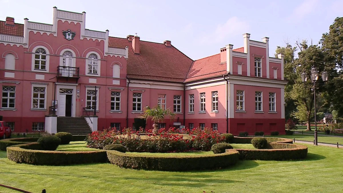 Zdjęcie