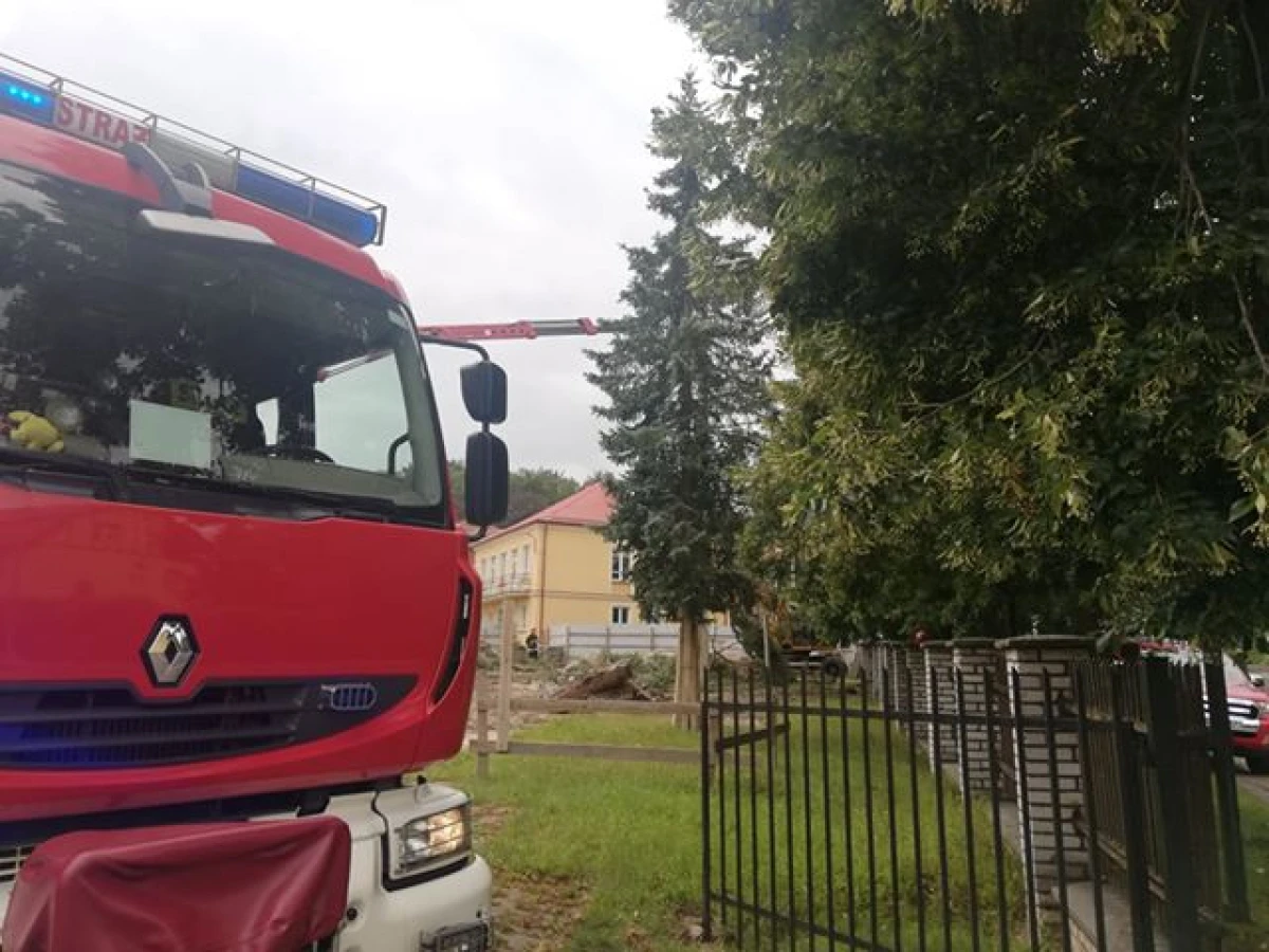 Zdjęcie