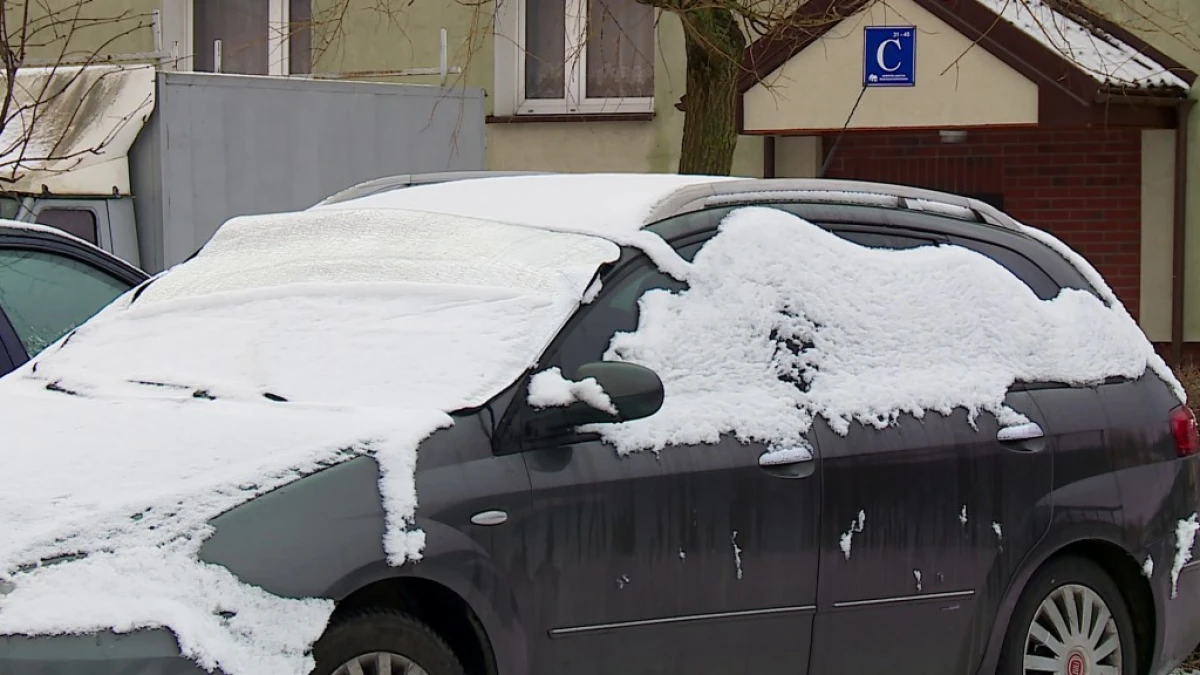 Zdjęcie