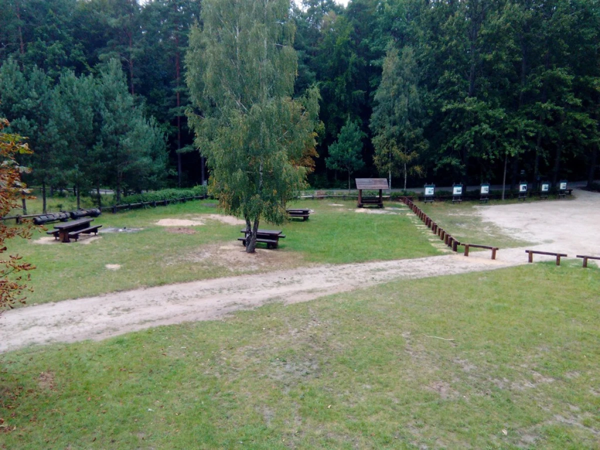 Zdjęcie