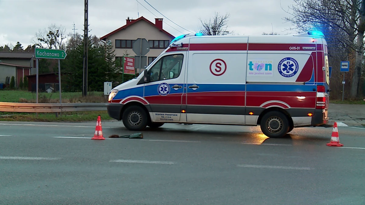 Zdjęcie