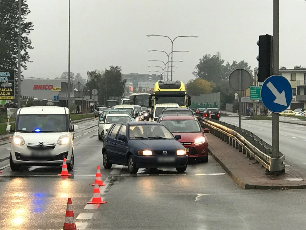 Zdjęcie