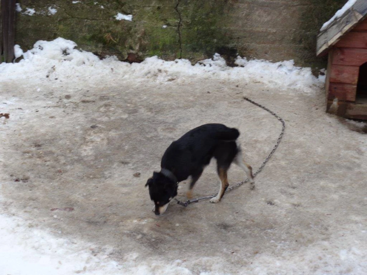 Zdjęcie