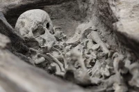 Kolejny średniowieczny szkielet odkryty. Kości nie leżały w anatomicznym porządku