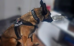 Nel ze Starogardu Gdańskiego. Niezastąpiona współpracowniczka policji w walce z narkotykami