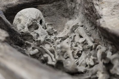Kolejny średniowieczny szkielet odkryty. Kości nie leżały w anatomicznym porządku