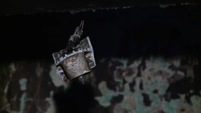 Miniatura