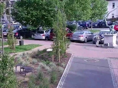 Miniatura
