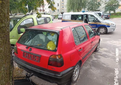 Miniatura
