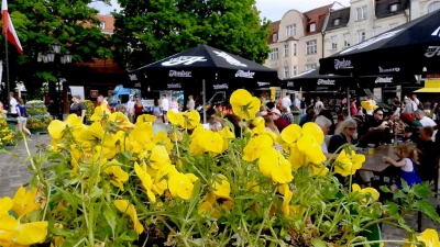 Festiwal Smaków w Wejherowie