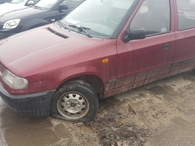 Miniatura