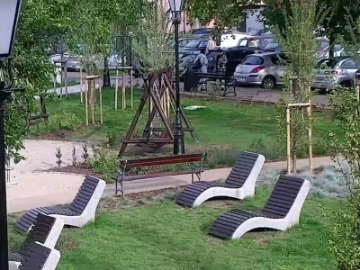 Miniatura